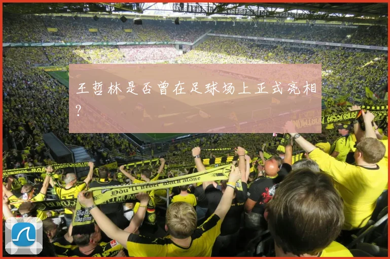 王哲林是否曾在足球场上正式亮相？