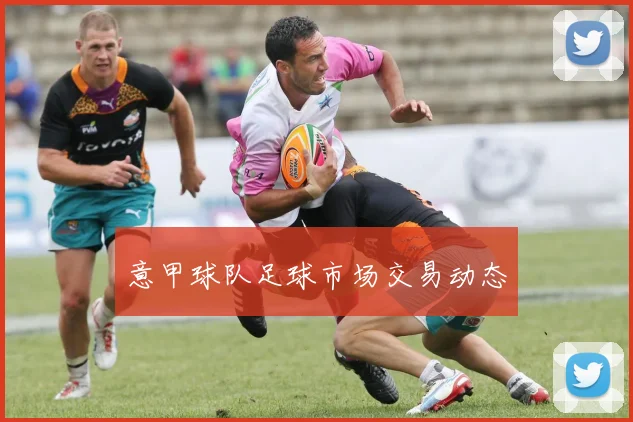 意甲球队足球市场交易动态