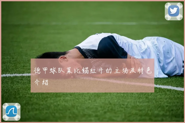 德甲球队莱比锡红牛的主场及特色介绍